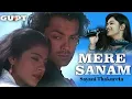 Lagu Mere Sanam Mujhko Teri Kasam | Gupt(1997) | Sadhana Sargam | Cover by Sayani Thakureta