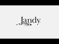 Jandy SpeedSet Pump Controller