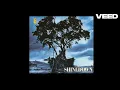 Shinedown - 45