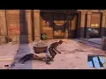 Backshots or a good career