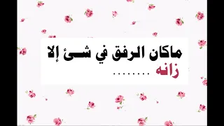 فيديو الرفق دندنها
