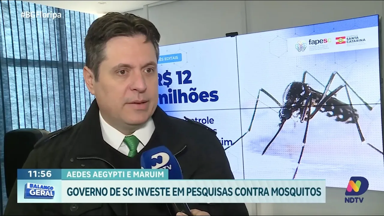 Governo de SC investe em pesquisas para controle de mosquitos Maruim e Aedes