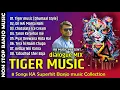 Download Lagu Banjo mix - Sher Dhun , Non Stop Back To Back 8 Song Tiger Dhun - @RBMUSICBenjo , Tiger Dun Banjo