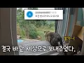 Download Lagu 4년이 지난 지금, 그들은 잘 지내고 있을까..?