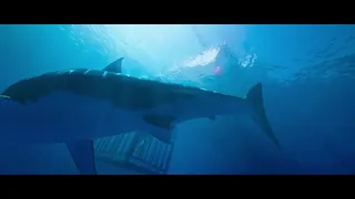 the cage falls 47 meters down
