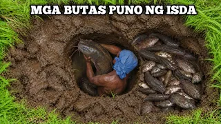 MGA BUTAS SA LUPA MAY LAMANG MGA ISDA