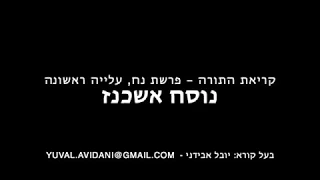 קריאת התורה פרשת נח יובל אבידני נוסח אשכנז Torah Reading Yuval Avidani Noah 