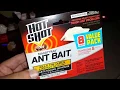 HOT SHOT Maxattrax Ant Bait didn t work for me - VLOG Summer 2018