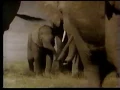 Cable TV commercial 1992