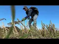 Download Lagu ЭТОТ КОП Я ЗАПОМНЮ НАДОЛГО! DANGEROUS METAL DETECTING