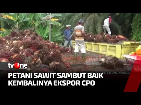 Pemerintah Buka Ekspor CPO