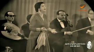 هفضل أحبك من غير ما أقولك 