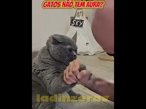 #aesthetic