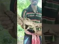 Download Lagu catching udumu #youtubeshorts #tribal #hunting
