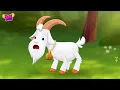 The Baby Octopus is in Trouble! | Favourite Nursery Rhymes with Mormortoons