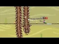 Desert Scourge Fight Mage Terraria Calamity Mod