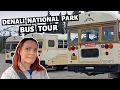 IS IT WORTH IT Denali Bus Tour Denali National Park