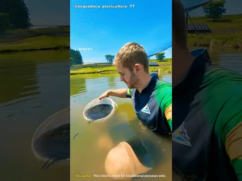 মাছ বাঁচানোর Smart Technique! Insane 🐟