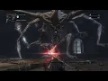 Bloodborne - Defiled Cursed Amygdala No Damage Chikage