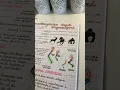 My biology notes