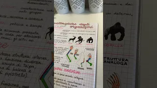 My biology notes