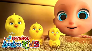 Los Pollitos + La Vaca Lola + Cucu y Bonus 🤨 | Canciones Infantiles | LooLoo Kids en Espanol