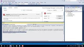 Lesson 02 Install and include angularjs in the web project