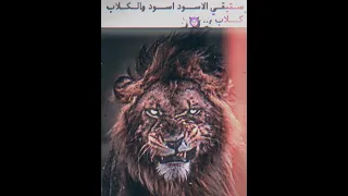 حالات واتساب مهرجان انا يا ولاد الخاينه اسد لسه بصحتي جبرووت   احمد موزه دندنها