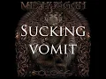 Meshuggah - Demiurge (Lyrics on screen)