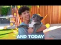 I Built a $100,000 DREAM Dog House