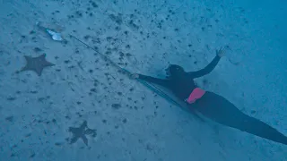 How-To Spearfish with a Pole Spear In The Bahamas (Day 25/100 Day Water World Challenge)
