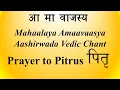 Download Lagu MELODIOUS Pitr (पितृ) Vedic Chant | Aama Vajasya  | Sukla Yajur Kaanva Shaakha | Ghanam | K Suresh