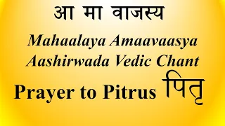 MELODIOUS Pitr (पितृ) Vedic Chant - Aama Vajasya - BhaktiSagar Devotional