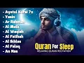 Download Lagu MUROTTAL ALQURAN MERDU Pengantar Tidur AL KAHFI, AL MULK, AL BAQARAH, YASIN, AL WAQIAH | ALAA AQEL