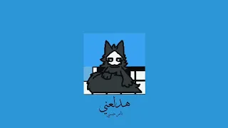                          تامر حسني   هدلعني           بطيء  دندنها
