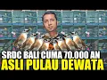 Download Lagu BIKIN SEDIH ! MAS DIDI JUAL RUGI SRDC BALI CUMA 70 RIBU ASLI PULAU DEWATA HARI INI