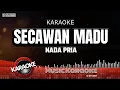 Download Lagu KARAOKE SECAWAN MADU ( NADA PRIA )