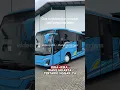 SHUTTLE BUS JETBUS 5 !!! #shorts #busmania #jetbus5 #adiputro #transjakarta #basuri #buspariwisata