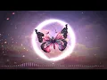 Butterflies - Giulio Cercato [1 hour]