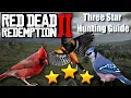 The MOST consistent way to hunt PERFECT Cardinals Blue Jays and Orioles in Red Dead Redemption 2