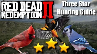 The MOST consistent way to hunt PERFECT Cardinals Blue Jays and Orioles in Red Dead Redemption 2