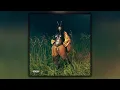 Download Lagu SZA - SOS Deluxe: LANA (Full Album)