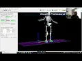 Visual 3D Tutorial 401 Answer MoS