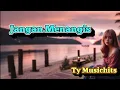 Download Lagu Jangan Menangis  || Official Lyrics Video ||  Ty Musichits