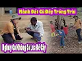 Lagu Kết Quả Ươm Lúa||Mảnh đất 1Ha của Gia Đình Châu Phi hiện giờ ra Sao?|| 2Q Vlogs Cuộc Sống Châu Phi
