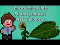Photosynthesis and What Plants Use Glucose For - Biology