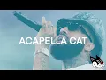 Larry June, Curren$y, The Alchemist - 2.P.I.G. Acapella 75 BPM - 4K Acapella Cat