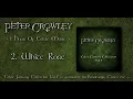 1 Hour Of Celtic Fantasy Music | Peter Crowley
