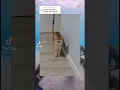 Download Lagu mentahan dari TikTok kucing UAAAA HUAAAAA