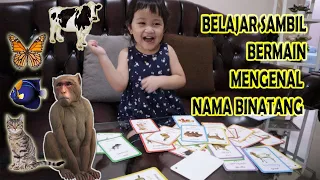 Download Learning Animals for Kids | Belajar Mengenal Nama Binatang | Learn Animals Names MP3